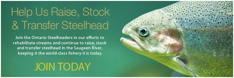 Help Us Stock Fish